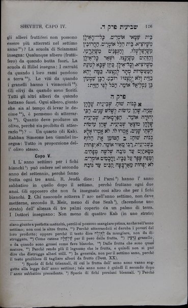 Mishnayot : shishah sidre Mishnah be-niḳud ha-otiyot / meturgamim Iṭalḳit ʻim mavo ṿe-heʻarot melekhet Yitsḥaḳ Ḥayim Ḳasṭilyoni = Mishnaiot : testo ebraico punteggiato con traduzione italiana ...