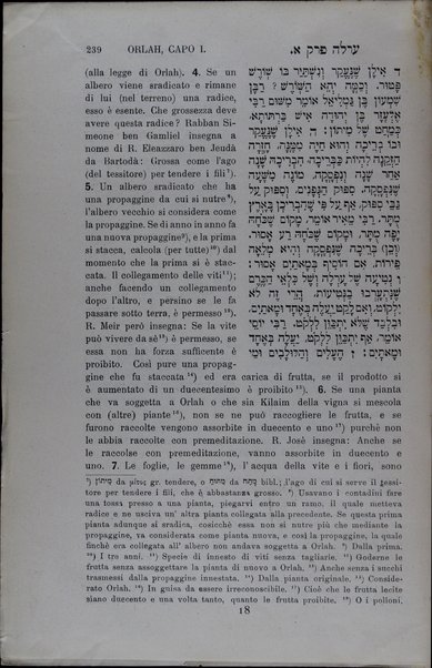 Mishnayot : shishah sidre Mishnah be-niḳud ha-otiyot / meturgamim Iṭalḳit ʻim mavo ṿe-heʻarot melekhet Yitsḥaḳ Ḥayim Ḳasṭilyoni = Mishnaiot : testo ebraico punteggiato con traduzione italiana ...