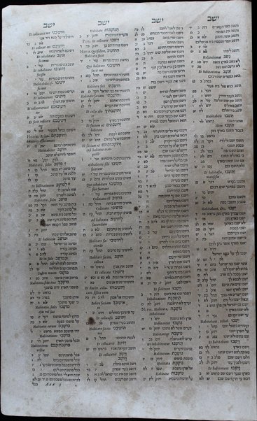 Johannes Buxtorfi Concordantiae bibliorum Hebraicae : nova et artificiosa methodo dispositae in locis innumeris depravatis emendatae, deficientibus plurimis expletae, radicibus antea confusis distinctae, & significatione vocum omnium latinâ illustratae... : accesserunt novae concordantiae Chaldaicae omnium vocum, quae Corpore Bibliorum Hebraico continentur / cum prefatione, quã operis usus abundè declaratur, per Johannem Buxtorfium....