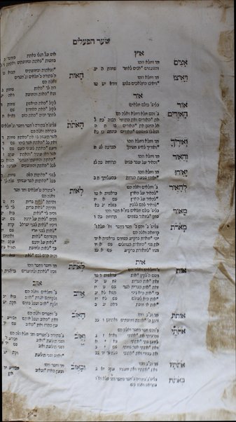 Neḥpah ba-kesef : ṿe-hu sheʼelot u-teshuvot ʻal seder ha-arbaʻah Ṭurim uve-sofo... beʼur... ʻal ha Reʼem be-perush le-Semag hilkhot ḥag be-ḥag /