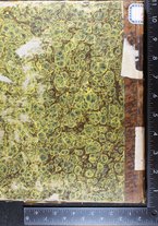 volumeEbraico/CETS-0003843/1