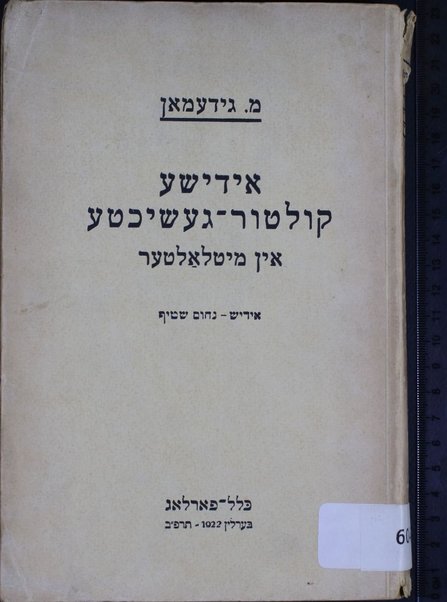 Idishe ḳulṭur-geshikhṭe in miṭlalṭer : Idn in Dayṭshland dos fertseṭ un fuftseṭ yorhunderṭ / Idish Naḥum Shṭif.