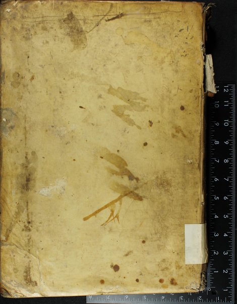 Maʻarikh ha-maʻarakhot = Dictionarium absolutissimum complectens : alphabetico ordine, et facili methodo omnes voces Hebraeas, Chaldaeas, talmudico-rabinicas, quae in reliquis, quae uspiam sunt dictionariis extant, innumerásque alias quae à nullo lexicographo sive Christiano, sive Iudaeo hactenus observatae sunt variarum praeterea legis caeremoniarum, sententiarum ac locorum difficiliorum in rabinorum & cabalistarum libris passim occurentium explicationem, necnon compendia scribendi, seu abbremiaturas omnes Hebraeorum / authore Philippo Aqvinate.