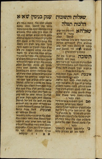 Sefer Orot ha-mitsṿot : u-vo perushe, derushe ṿe-ḥidushe u-ṭeʻame ha-mitsṿot ... / maʻaśe yede Binyamin Refaʼel Diʼaś Brandon ; ṿe-aḥaraṿ nilṿeh elaṿ S. ʻEmeḳ Binyamin, sh. u-t. u-fisḳe halakhot ṿe-dinim ...