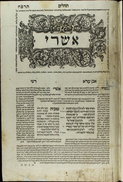 Arbaʻah ṿe-ʻeśrim : 'im be'ur kol milah ḳashah ... derekh ḳtsarah 'al derḳh ha-peshaṭ ṿeha-diḳduḳ 'im tsiun ha-ḳeri ktiv ṿeha-ḳapiṭoli ...