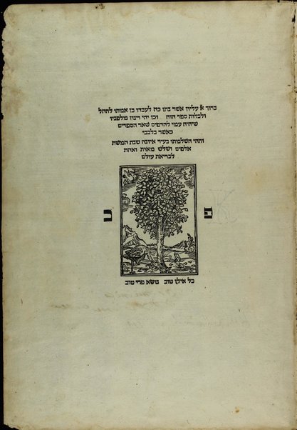 Sefer Meturgeman : ... be-veʼur kol milot ... ha-nimtsaʼot be-lashon arami be-targum Onḳelos ṿ-Ionatan ṿ-Irushalmi ... / ... Eliyah ha-meḥaber