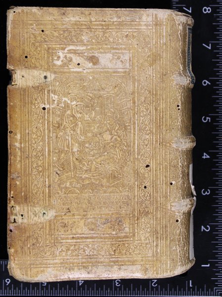 Sefer Tehilim = Psalterium prophetae Davidis Hebraeum, Graecum & Latinum : iam denuò ad probatissimorum codicum fidem, collatis veterum orthodoxorum interpretum translationibus, emendatum & in omnibus difficilioribus locis, annotationibus explicatum : Catholicis quibusdam viris autoribus.