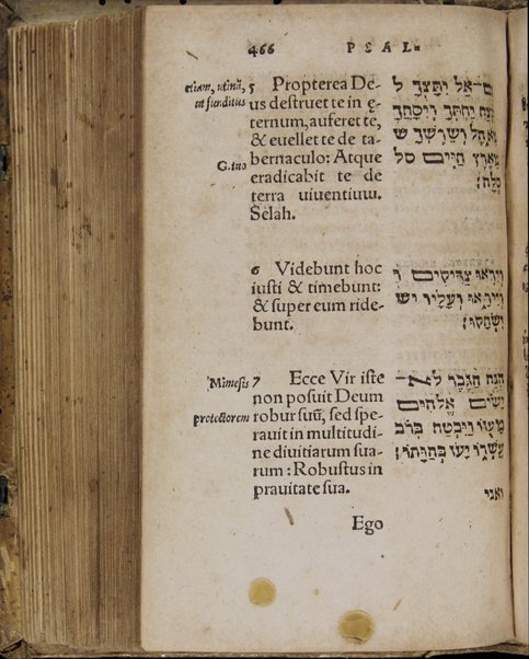 Sefer Tehilim = Psalterium prophetae Davidis Hebraeum, Graecum & Latinum : iam denuò ad probatissimorum codicum fidem, collatis veterum orthodoxorum interpretum translationibus, emendatum & in omnibus difficilioribus locis, annotationibus explicatum : Catholicis quibusdam viris autoribus.