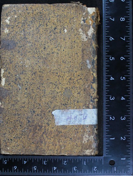 Sefer ḳeri'e mo‘ed : ... ri'shon seder shevi‘i shel Pesaḥ ... ha-sheni tiḳun lel shavu‘ot ... u-shelishi ... tiḳun lel hosha‘ana' raba' ...