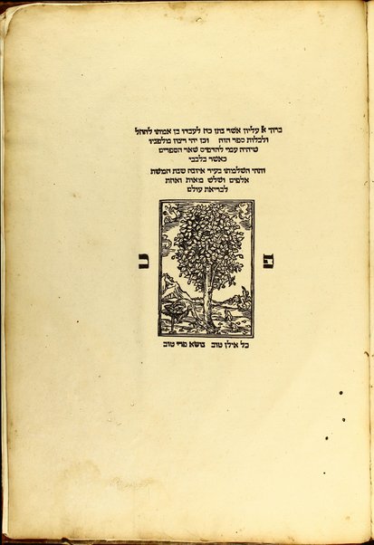 Meturgeman = Lexicon chaldaicum / authore Eliia Levita, quo nullum hactenus a'quoquam absolutius aeditum est, omnibus Hebraeae linguae studiosis inprimis & utile & necessarium