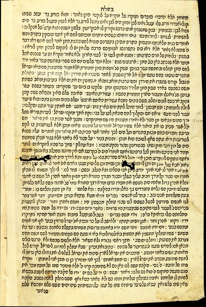 Rashi ʻal ha-torah