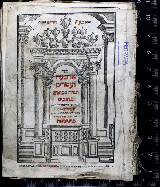 Arbaʻah ṿe-ʻeśrim sefarim meduyaḳim : be-ḥoser u-melo muʻatiḳim, ʻim neḳudot ha-kesef ṿe-ṭeʻamim ... or Torah ... le-horot pesuḳot leʻolim le-S.T. be-tsibur ... uba-sof kol parashah moreh maḳom ha-hafṭarot ke-minhag kol ḳehilot ha-ḳodesh ... parshiyot shel yamim ṭovim ... ḳodem Ḥamesh Megilot ... he-ḳeri ṿeha-ketiv u-minyan 613 mitsvot ke-seder ha-Ramba"m ... pitron kol davar ha-ḳasheh be-leshon laʻaz  ... / Śimḥah Ḳalimani ... ḥibur diḳduḳ ... luaḥ shel shemonim shanah retsufot ...Sefer Neviʼim rishonim ... ʻim perush ha-milot yoter zarot bi-leshon Iṭalyani