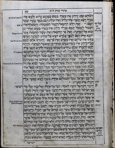 Arbaʻah ṿe-ʻeśrim sefarim meduyaḳim : be-ḥoser u-melo muʻatiḳim, ʻim neḳudot ha-kesef ṿe-ṭeʻamim ... or Torah ... le-horot pesuḳot leʻolim le-S.T. be-tsibur ... uba-sof kol parashah moreh maḳom ha-hafṭarot ke-minhag kol ḳehilot ha-ḳodesh ... parshiyot shel yamim ṭovim ... ḳodem Ḥamesh Megilot ... he-ḳeri ṿeha-ketiv u-minyan 613 mitsvot ke-seder ha-Ramba"m ... pitron kol davar ha-ḳasheh be-leshon laʻaz  ... / Śimḥah Ḳalimani ... ḥibur diḳduḳ ... luaḥ shel shemonim shanah retsufot ...Sefer Neviʼim rishonim ... ʻim perush ha-milot yoter zarot bi-leshon Iṭalyani