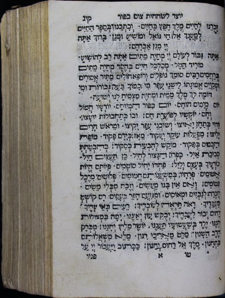 Mạhzor shel kol ha-shanah : kefi minhag ḳ.ḳ. Iṭaliyani ... ṿe-ʻatah hosafnu vo tosafot merubah ʻal ha-ʻiḳar, kol ha-dinim ha-shayakhim le-khol ha-shanah ...