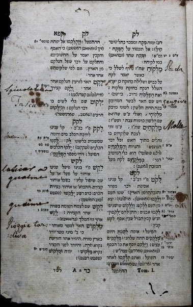 ʼOtsar ha-shorashim .hele.k shelishi: kolel ʼashkenazit .ve-ʻIvrit la-mits.veʼ ʼish ʼish mevu.ksho melah ʼashkenazit behe-ʻata.kat lashon ʻIvrit.