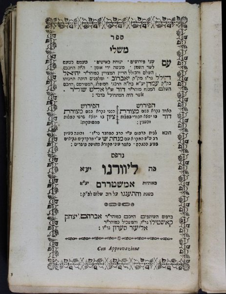 [Neviʼim rishonim, Neviʼim aḥaronim u-Khetuvim] : ʻim shene perushim : yenuḥaḥ ke-ishim ... Metshudat Daṿid ... Metsudat Tsiyon ... / Yeḥiʼel Hilel mi-ḳ.ḳ. Yavrov be-h.h. Daṿid Alṭ Shuler.