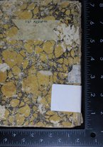 volumeEbraico/RM0166F03-0000004/1