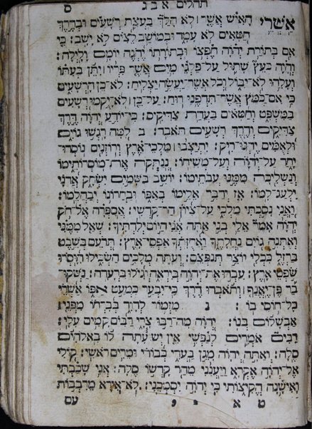 Seder Lel Hoshaʻna Raba : hino ḳodesh hilulim le-H. ... sefer Mishneh Torah ... mizmore Tehilot ... asher le-shivʻah sedarim yaḥloḳu u-ven maḥlaḳot ha-shir Zemirot yomeru ...