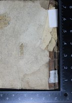 volumeEbraico/RM0166F03-0000007/1