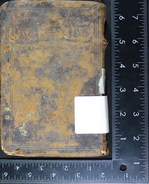 Ayelet ha-shahar : seder shomre mishmeret Mishkan ha-Shem ba-Torah ... mishnah u-gemara ḳinot saliḥot piyuṭim ṿe-pizmonim ... asher hiskimo lomar be-khol yom mi-yemot ha-shanah ha-ḥevrah ... shomerim la-boḳer Iṭalyani ...