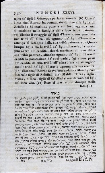 Sefer Torat ha-Elohim : kolel ḥamishah ḥumshe Torah : meturgamim Italḳit u-mevoʼarim beʼur ḥadash ... = Legge di Dio, ossia il Pentateuco : tradotta in lingua italiana / ʻal yede Yitsḥaḳ Shemuʼel Regyo.