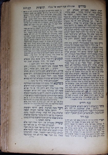 Midrash talpiyot / Eliyahu Hakohen.