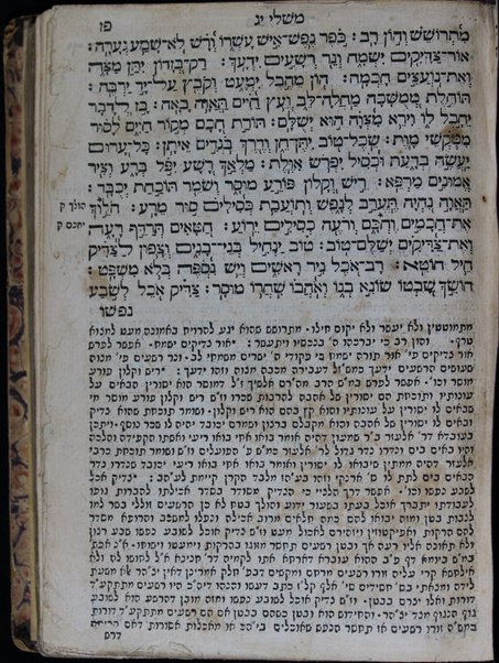 Sefer Arbaʻah ṿe-ʻeśrim : hineh hinam mesudarim meʻutaḳim, u-mugahim mi-pi sofrim u-sefarim ... le-daʻat ish emunim ha-Rav Minḥat Shai ...