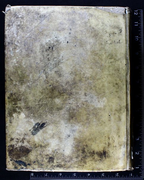 Arba‘ah ṿe-‘eśrim sefarim : ... Minḥat Shai / ... Śimḥah Ḳalimani ...