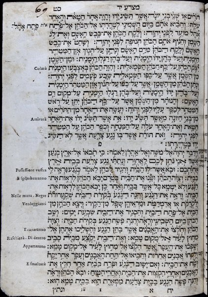 Arbaʻah ṿe-ʻeśrim : ... perush ha-milot be-leshon Iṭa'lya'ni  ... nidpas ... Yitsḥaq Foa'