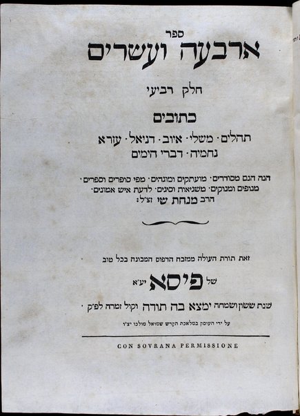 Sefer Arbaʻah ṿe-ʻeśrim : hineh hinam mesudarim meʻutaḳim, u-mugahim mi-pi sofrim u-sefarim ... le-daʻat ish emunim ha-Rav Minḥat Shai, zatsal.