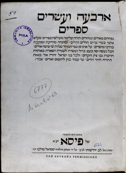 Sefer Arbaʻah ṿe-ʻeśrim : hineh hinam mesudarim meʻutaḳim, u-mugahim mi-pi sofrim u-sefarim ... le-daʻat ish emunim ha-Rav Minḥat Shai, zatsal.