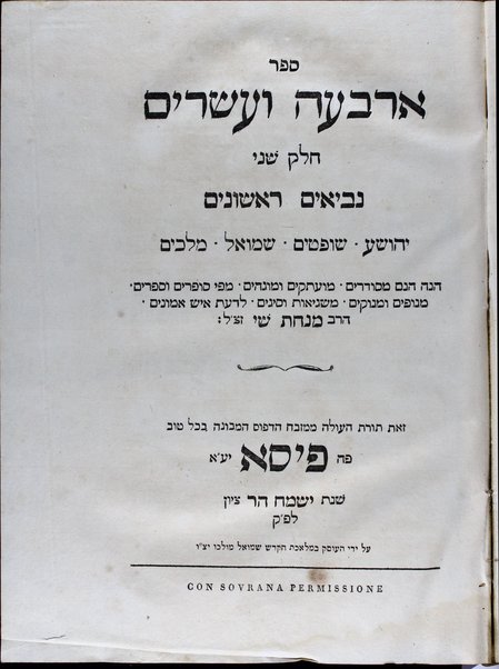 Sefer Arbaʻah ṿe-ʻeśrim : hineh hinam mesudarim meʻutaḳim, u-mugahim mi-pi sofrim u-sefarim ... le-daʻat ish emunim ha-Rav Minḥat Shai, zatsal.