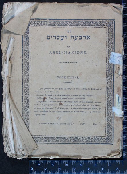 Perush masekhet Mashḳin : le-rabenu Shlmoh ben ha-Yatom / yotse la-or ʻim mavo ṿe-heʻarot ... ʻal yede Tsevi Perets Ḥayot.