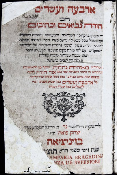 Sefer Arbaʻah ṿe-ʻeśrim : Torah, Neviʼim, Ketuvim.