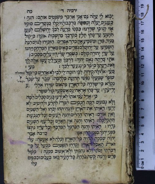 Sefer Arba'ah ve-eśrim : Torah Nevi'im Ketuvim ha-Ḥumash ke-fi da'at 'a.t. ke-tikun sofrim ... u-minyan mitsvot keha-Rambam