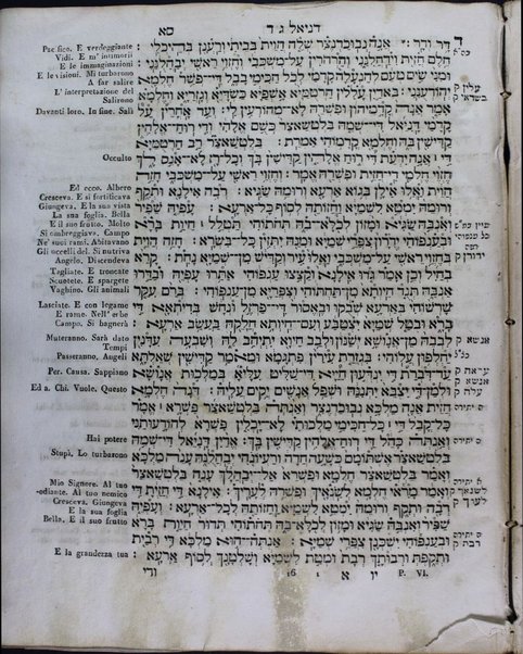 Sefer arbaʻah ṿe-ʻeśrim : Neviʼim aḥaronim, Ketuvim : hineh hinam mesudarim ... u-mugahim ... u-menuḳim ... le-daʻat Minḥat Shai / Śimḥah Ḳalimani ...