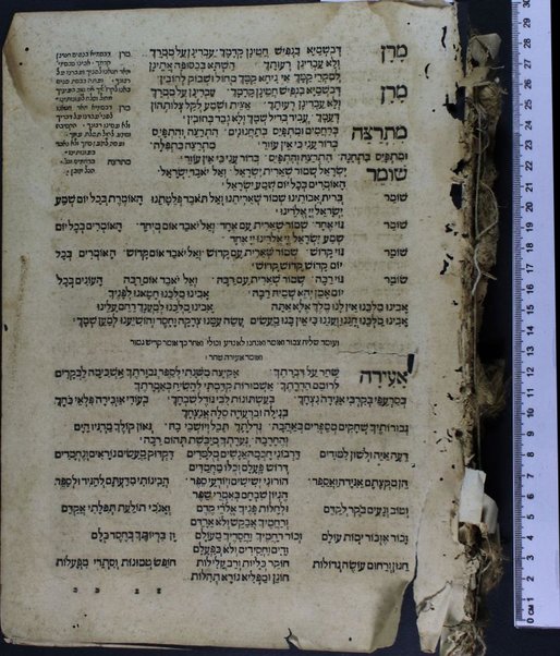 Ḥeleḳ ... meha-Maḥzor kefi minhag ḳ. ḳ. Roma : ʻim perush Ḳimḥa ... u-Masekhet Avot ʻim perush ha-Ner ha-maʻaravi ... ʻOvadiyah Sforno ... ṿeha-Miḳraʼot menuḳadim u-muṭʻamim be-diḳduḳ gadol ...