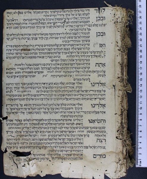 Ḥeleḳ ... meha-Maḥzor kefi minhag ḳ. ḳ. Roma : ʻim perush Ḳimḥa ... u-Masekhet Avot ʻim perush ha-Ner ha-maʻaravi ... ʻOvadiyah Sforno ... ṿeha-Miḳraʼot menuḳadim u-muṭʻamim be-diḳduḳ gadol ...