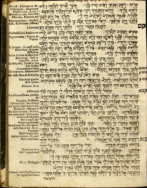 Arbaʻah ṿe-ʻeśrim : Torah, Neviʼim u-Khetuvim : uva-gilayon yavo perush ha-milot bi-leshon Iṭa'liya'no ...