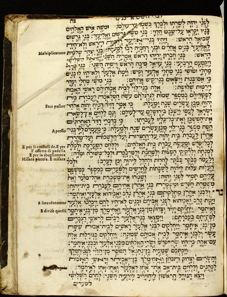 Arbaʻah ṿe-ʻeśrim : Torah, Neviʼim u-Khetuvim : uva-gilayon yavo perush ha-milot bi-leshon Iṭa'liya'no ...