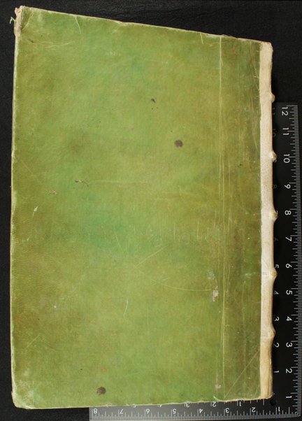 Arbaʻah avne ha-gilyonim meha-torah ha-hạdashah : asher neʻtakọ mi-leshon Romi li-leshon ʻIvri / ʻal yad Yohạnan Hatọvel Yonah = Quatuor Evangelia Novi Testamenti ex Latino in Hebraicum sermonem versa ab Ionne Baptista Iona