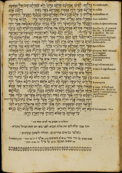 Arbaʻah ṿe-ʻeśrim : Torah, Neviʼim u-Khetuvim : uva-gilayon yavo perush ha-milot bi-leshon Iṭa'liya'no ...