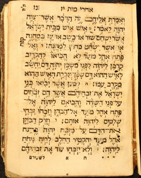 Ḥamishah Ḥumshe Torah : ʻim hafṭarot kol ha-shanah kefi minhag kol ha-ḳehilot ha-ḳedoshot ṿe-Ḥamesh Megilot ... / ... k.m.R. Gad ben ha-gever k.m.R. Shemuʼel Foʼah