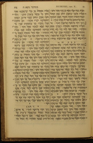 Ḥamisha Ḥumshe Torah