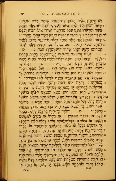 Sefer Torat Elohim = Moysis Pentateuchus ...