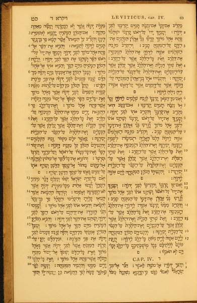 Ḥamisha Ḥumshe Torah