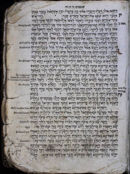 Arbaʻah ṿe-ʻeśrim : Torah, Neviʼim u-Khetuvim : uva-gilayon yavo perush ha-milot bi-leshon laʻaz Sefaradi ...