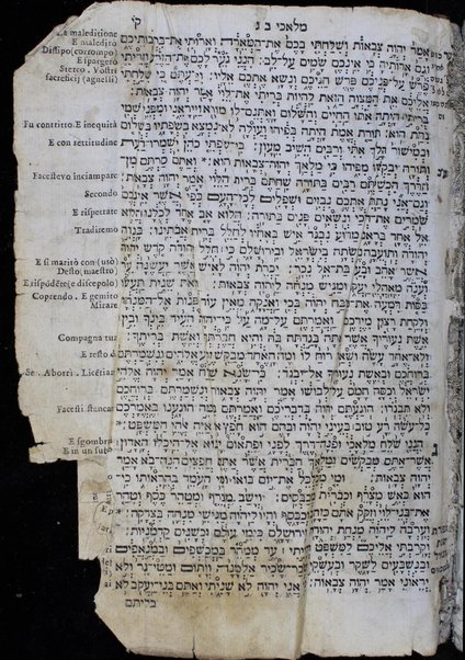 Arbaʻah ṿe-ʻeśrim : Torah, Neviʼim u-Khetuvim : uva-gilayon yavo perush ha-milot bi-leshon laʻaz Sefaradi ...