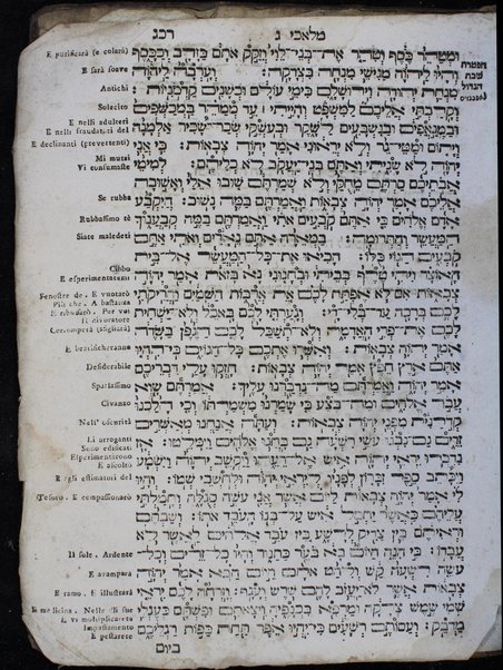 Arbaʻah ṿe-ʻeśrim ... perush ha-milot be-leshon Iṭa'lya'ni  ... nidpas ... Yitsḥaq Foa'