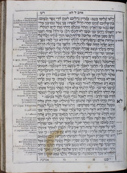 Arbaʻah ṿe-ʻeśrim ... perush ha-milot be-leshon Iṭa'lya'ni  ... nidpas ... Yitsḥaq Foa'